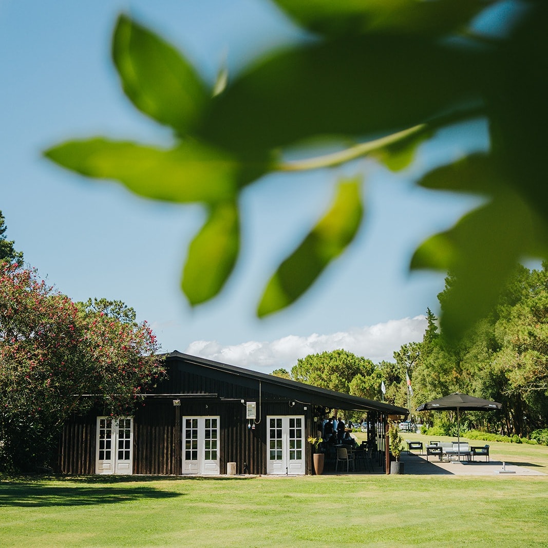 474265980_122176967480250053_703367811590039529_n